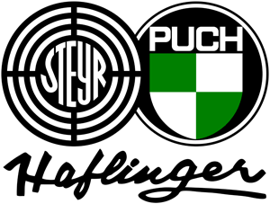 Steyr Puch Pin kleine Ausgabe ORIGINAL 90er Jahre Maße Logo 16x10mm Haflinger 